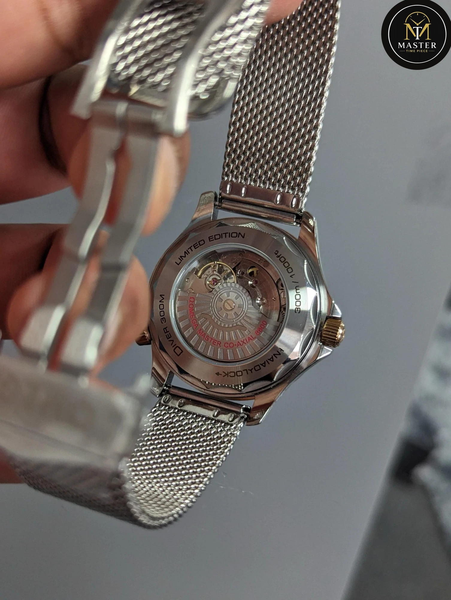 seamaster Automatic Movement -42mm vue 5
